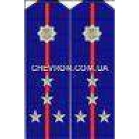 Погони МВС на кітель вишиті капітан