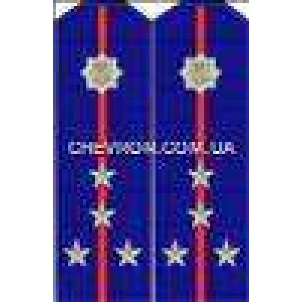 Погони МВС на кітель вишиті капітан - 3443700