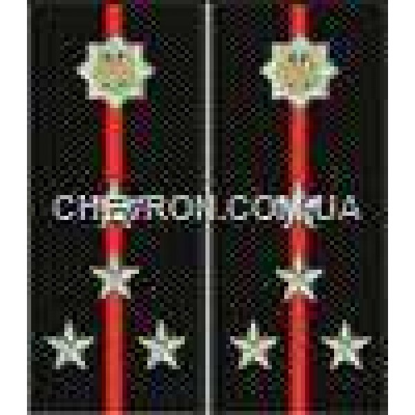 Погони МВС на куртку вишиті капітан - 3443705