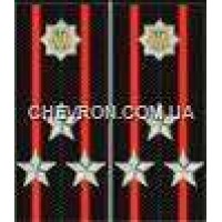 Погоны МВД на куртку вышитые полковник