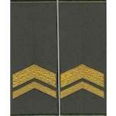 Погоны МО муфта вышитые старшина основа олива новые (парадные)