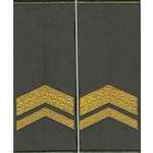 Погоны МО муфта вышитые старшина основа олива новые (парадные) - 3443707