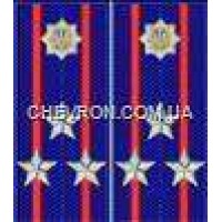 Погоны МВД на куртку вышитые полковник