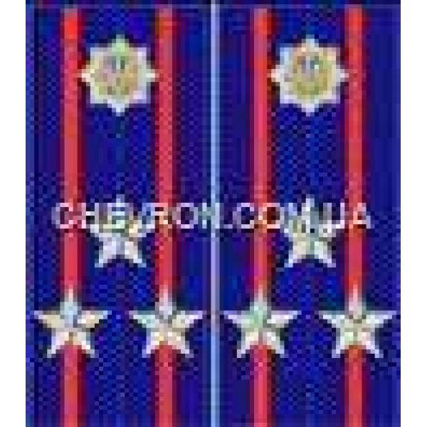 Погони МВС на куртку вишиті полковник - 3443709