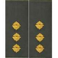 Погоны МО муфта вышитые старший лейтенант основа олива новые (парадные)