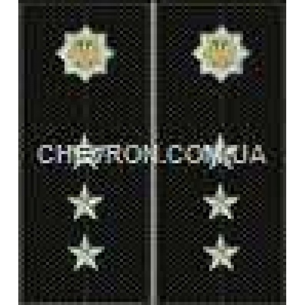 Погони МВС на куртку вишиті старший прапорщик - 3443714