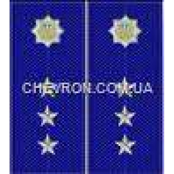 Погони МВС на куртку вишиті старший прапорщик - 3443715