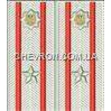 Погоны МВД на рубашку вышитые майор