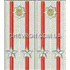 Погоны МВД на рубашку вышитые подполковник