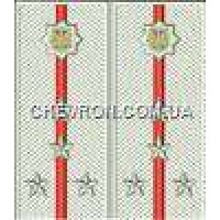 Погоны МВД на рубашку вышитые капитан