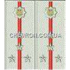 Погоны МВД на рубашку вышитые капитан