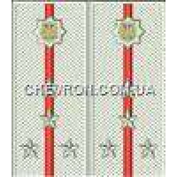 Погоны МВД на рубашку вышитые капитан - 3443723