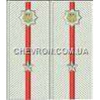 Погоны МВД на рубашку вышитые младший лейтенант