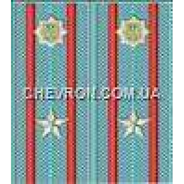 Погоны МВД на рубашку вышитые майор - 3443728