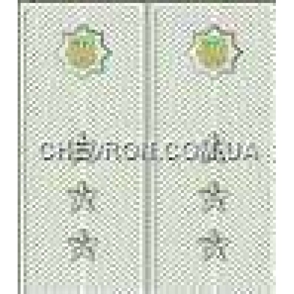 Погони МВС на сорочку вишиті старший прапорщик - 3443733