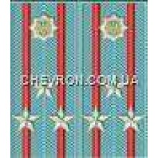 Погоны МВД на рубашку вышитые полковник