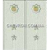 Погоны МВД на рубашку вышитые прапорщик