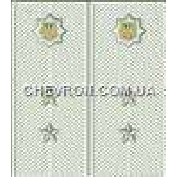 Погоны МВД на рубашку вышитые прапорщик - 3443740