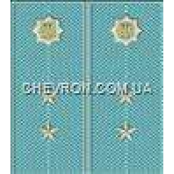 Погоны МВД на рубашку вышитые прапорщик - 3443743