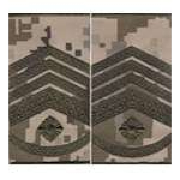 Погоны МО муфта вышитые главный мастер-сержант основа укр.пиксель новые - 3443746