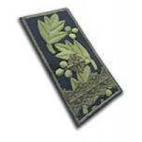 Погоны МО липучка вышитые бригадный генерал олива новые