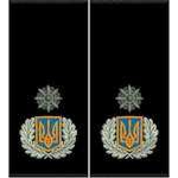 Погоны Генерал Полиции 3 ранга муфта (черные) - 3443830