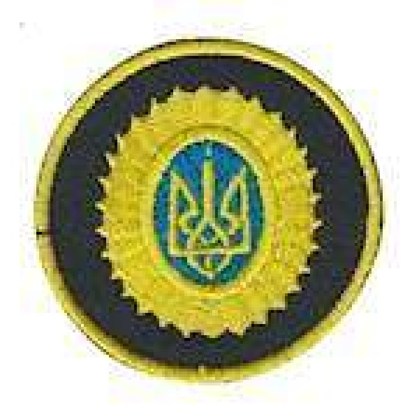 Кокарда общевойсковая Орешек желтый кант - 3443860