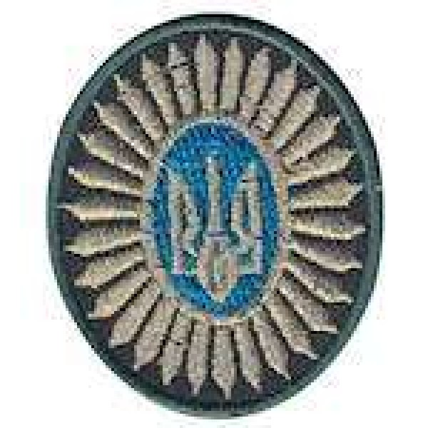 Кокарда общевойсковая Орешек зеленый кант - 3443863