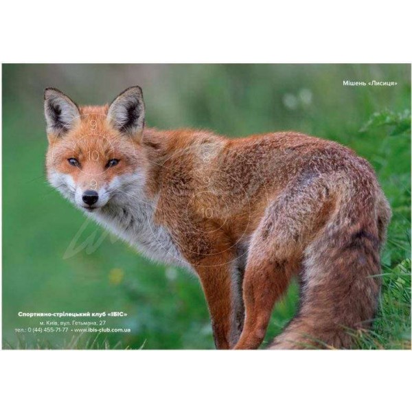 Мишень &"quot;Лисица&"quot; (цветная) - 3453525