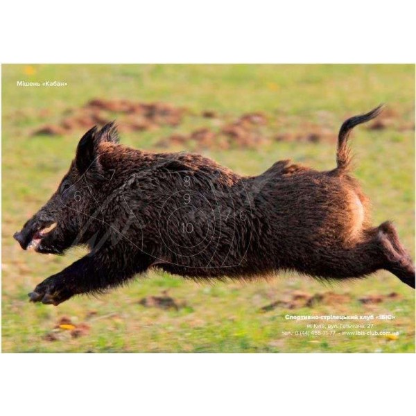 Мішень &"quot;Кабан&"quot; (кольорова) - 3453526