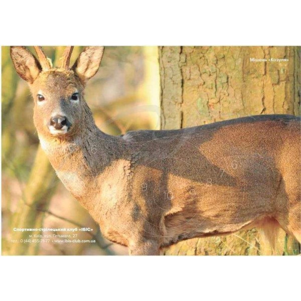 Мишень "Косуля" (цветная) - 3453527