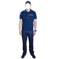 Річна форма МНС ДСНС