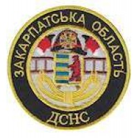 Шеврон "ДСНС Закарпатская область"
