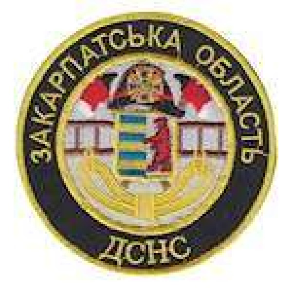 Шеврон "ДСНС Закарпатська область" - 3491286