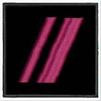 Погончик ДСНС старшина (липучка)