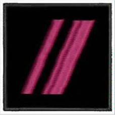 Погончик ДСНС старшина (липучка)