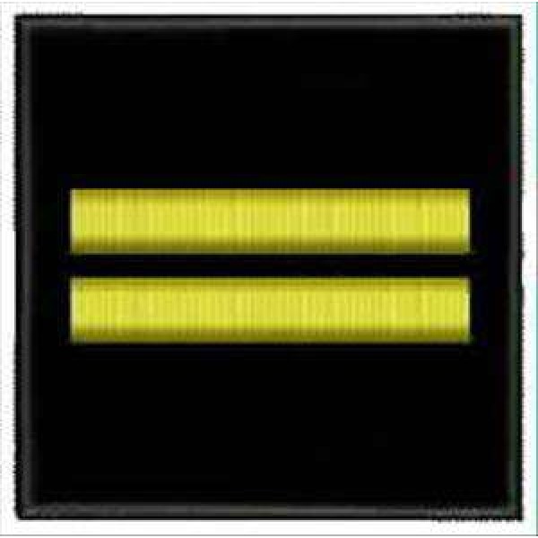 Погончик ДСНС лейтенант (липучка) - 3491313