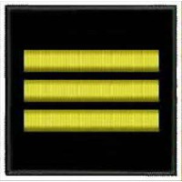 Погончик ДСНС старший лейтенант (липучка)