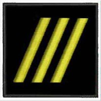 Погончик ДСНС старший прапорщик (липучка)