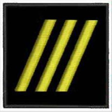 Погончик ДСНС старший прапорщик (липучка)