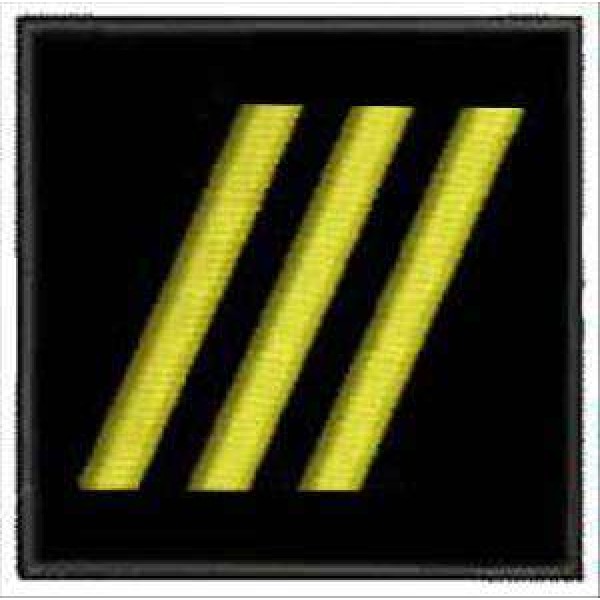 Погончик ДСНС старший прапорщик (липучка) - 3491316