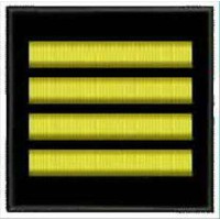 Погончик ДСНС капітан (липучка)