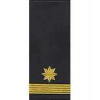 Погоны Укртрансбезопасности, 9 категория (муфта)