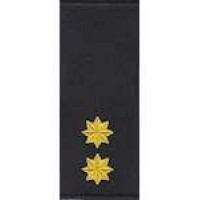 Погоны Укртрансбезопасности, 11 категория (муфта)