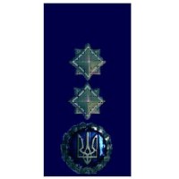 Погоны ДСНС (МЧС) Генерал-лейтенант служби цивільного захисту