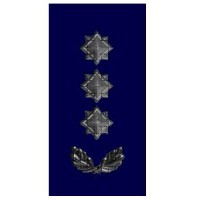 Погоны ДСНС (МЧС) Полковник служби цивільного захисту