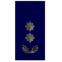 Погони ДСНС МНС Підполковник служби цивільного захисту