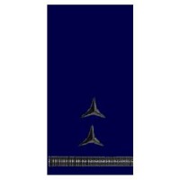 Погоны ДСНС (МЧС) Головний майстер-сержант (прапорщик, старший прапорщик) служби цивільного захисту