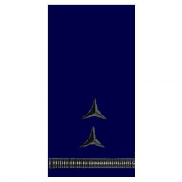 Погони ДСНС (МНС) Головний майстер-сержант (прапорщик, старший прапорщик) служби цивільного захисту - 3493628