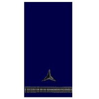 Погони ДСНС (МНС) Майстер-сержант (старший сержант, старшина) служби цивільного захисту